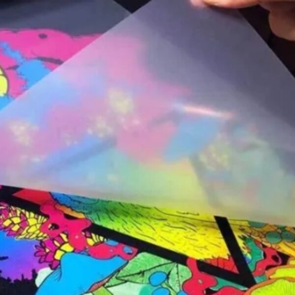 12 x 22 DTF Sheet Thumbnail