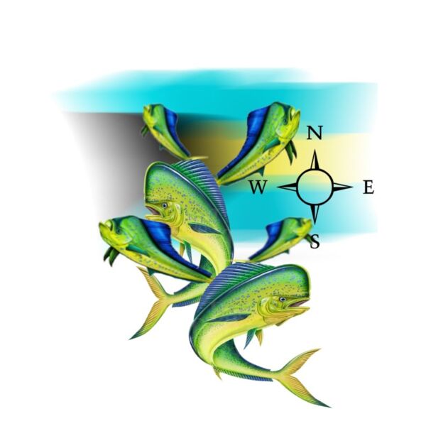 Bahamian flag & fish Thumbnail